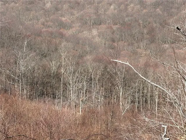 a view of a dry yard