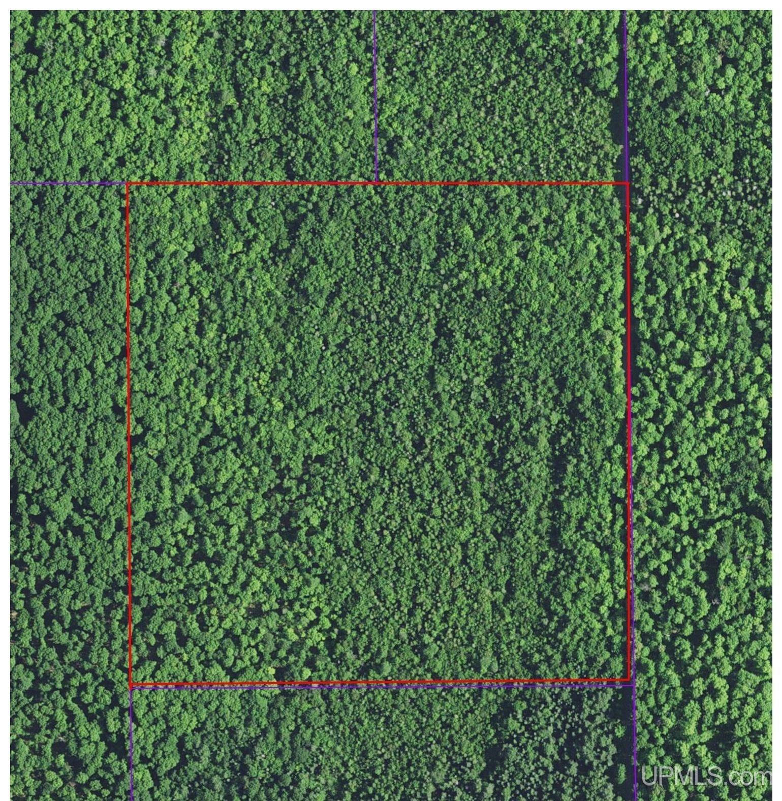 40-acres Dukes Road Skandia, MI 49885 - Photo 24 of 24