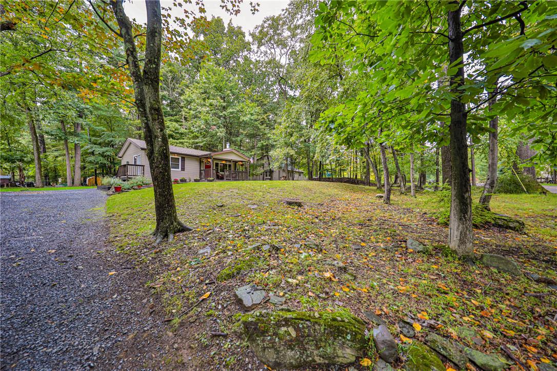 24 Turkey Ridge Road East Stroudsburg, PA 18302 - Photo 32 of 34 Mature trees frame a quiet gravel drive leading to this nestled woodland retreat.