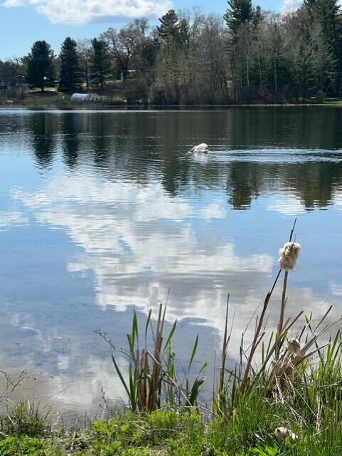 6911 Ryerson Road Twin Lake, MI 49457 - Photo 3 of 23 thumbnail_IMG_4546