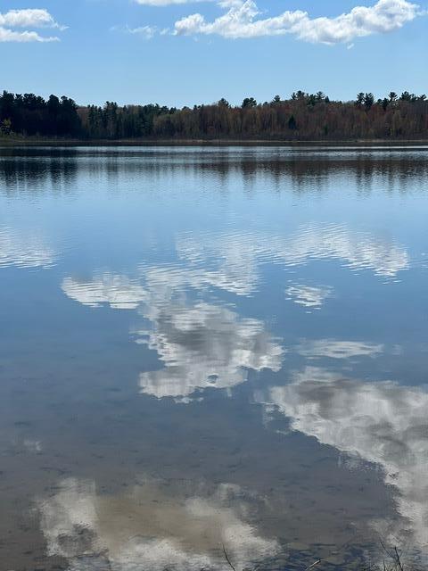 6911 Ryerson Road Twin Lake, MI 49457 - Photo 4 of 23 thumbnail_IMG_4547
