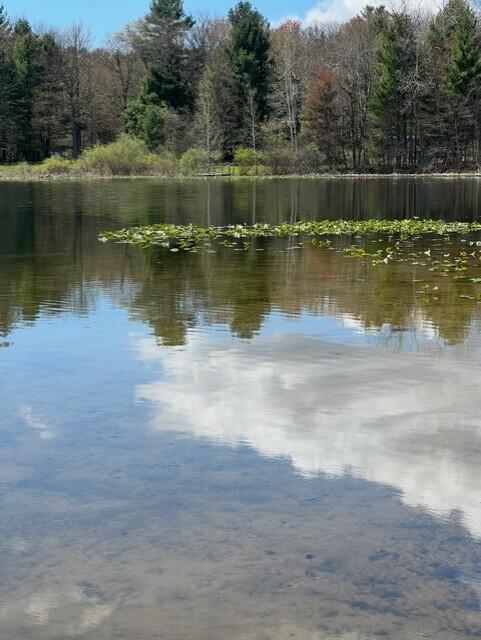6911 Ryerson Road Twin Lake, MI 49457 - Photo 6 of 23 thumbnail_IMG_4549