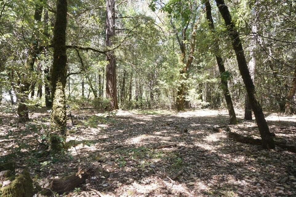 800 South Suzy Q Road Salyer, CA 95563 - Photo 9 of 9 20231002180441419162000000-o