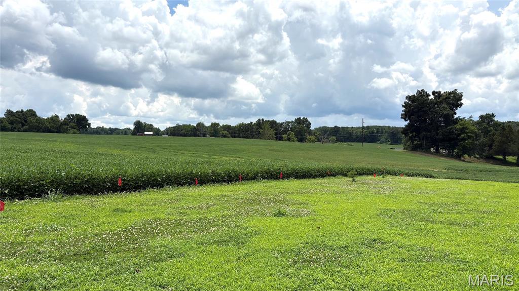 920 South Poplar Camp Road Makanda, IL 62958 - Photo 10 of 53