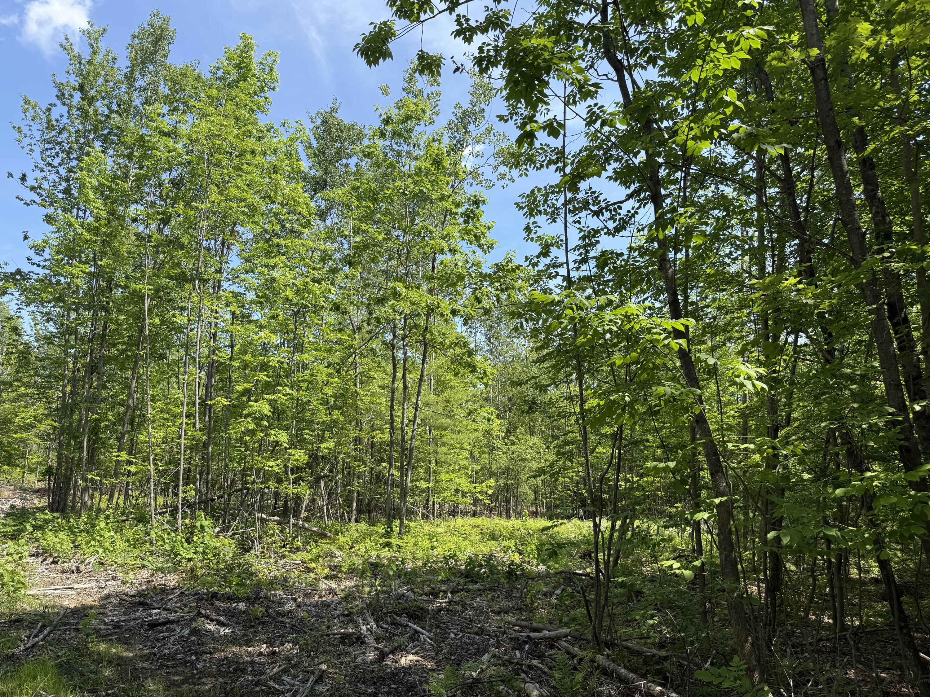 0 Fosterville Road Bridgton, ME 04009 - Photo 7 of 10 Photo 7