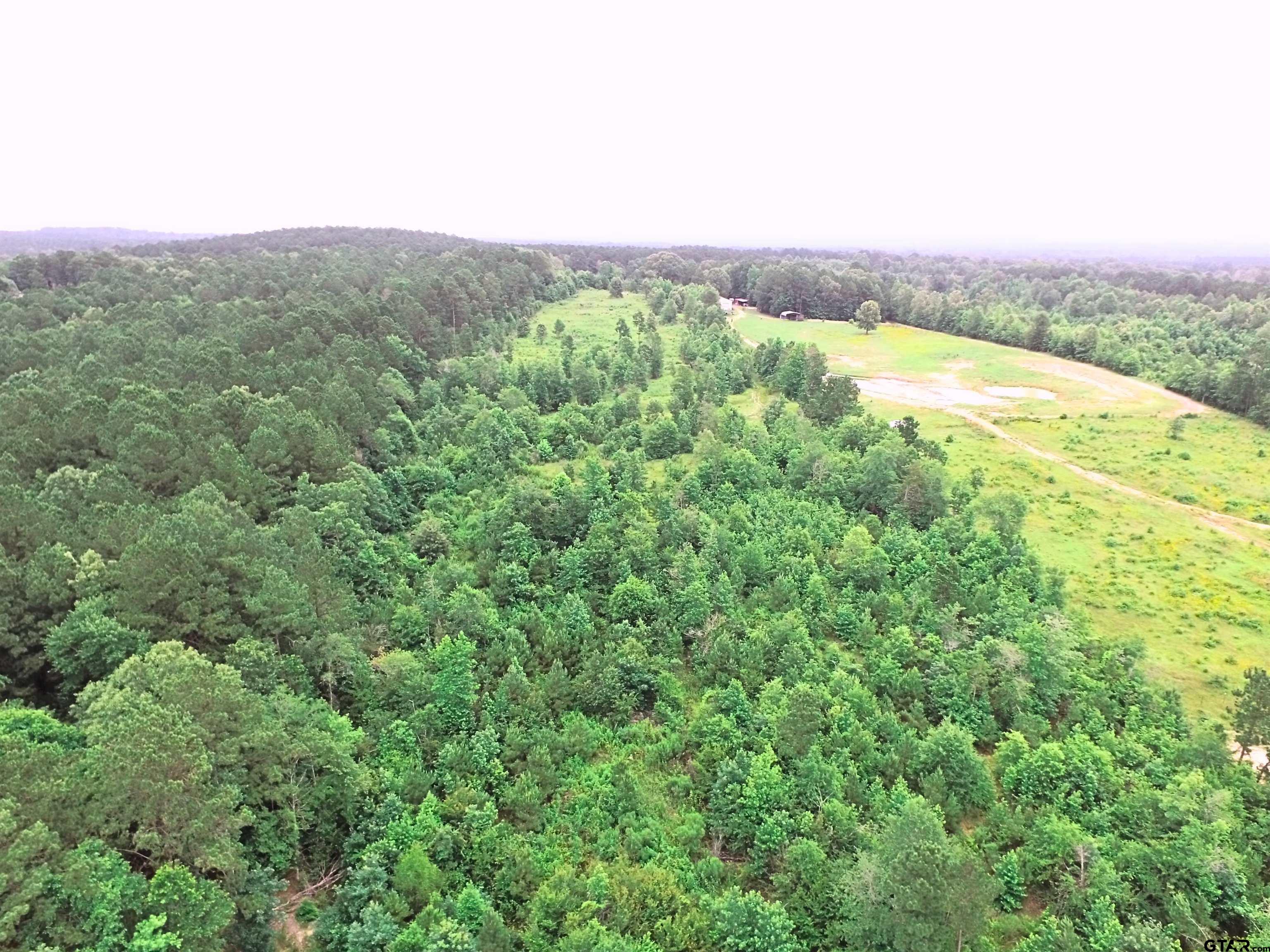 Tbd Tom Smith Road Harleton, TX 75651 - Photo 7 of 13 a view of a field with an ocean
