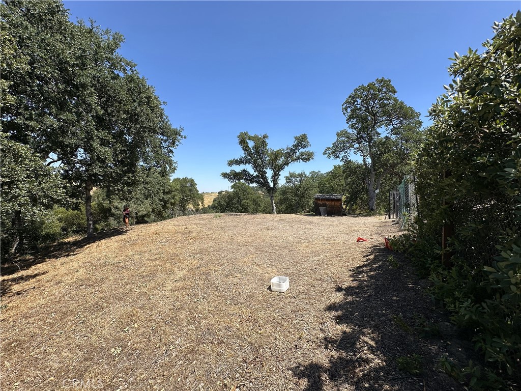 a view of a outdoor space with trees