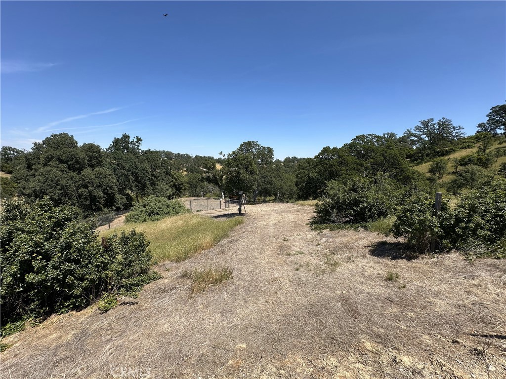 6920 Remunda Road Corning, CA 96021 - Photo 3 of 7 a view of a yard with a tree
