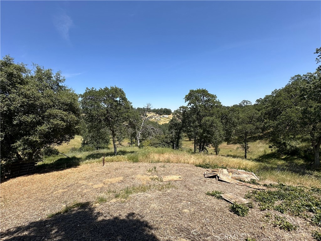 6920 Remunda Road Corning, CA 96021 - Photo 6 of 7 a view of outdoor space with trees all around