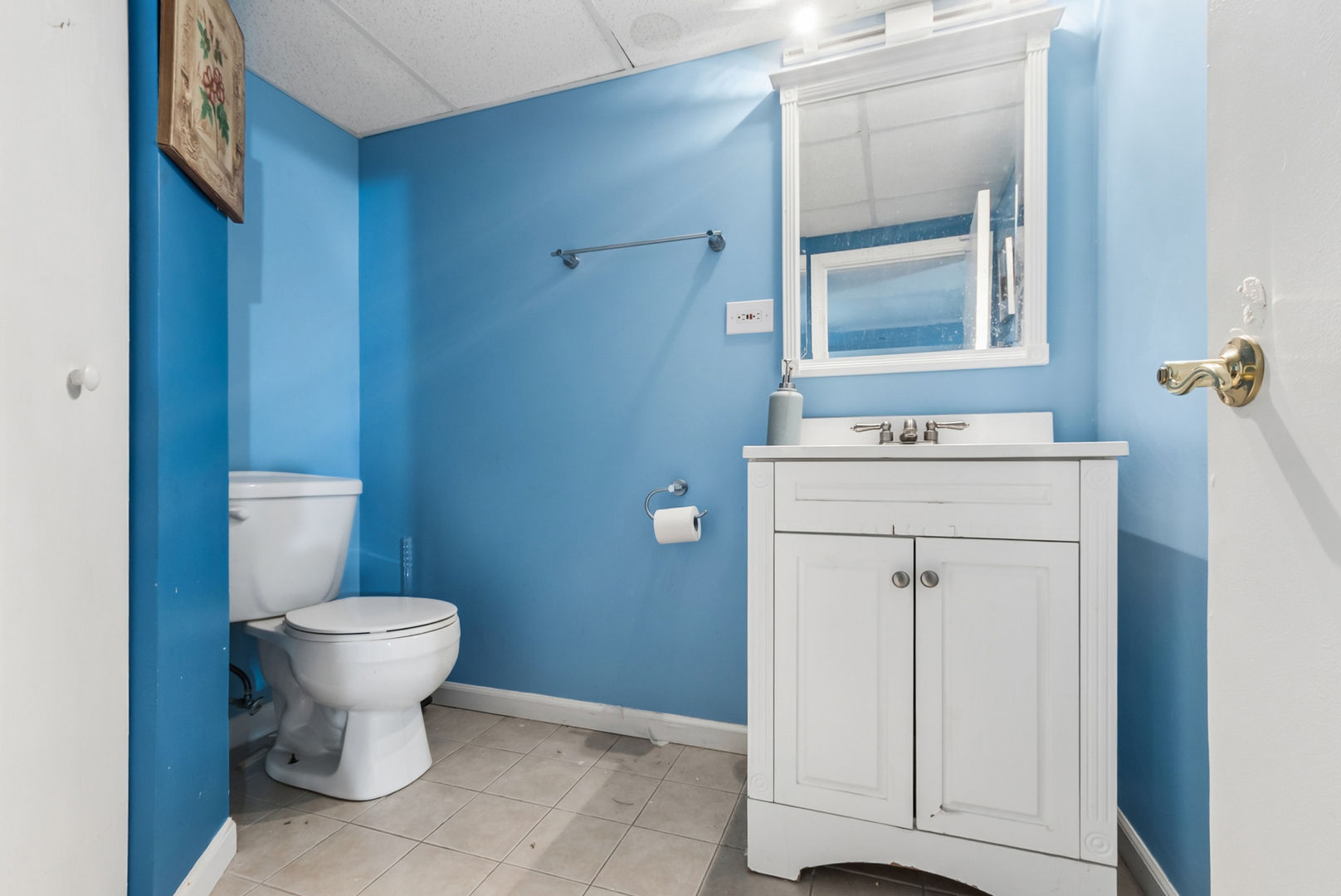 3933 Cumnor Road Downers Grove, IL 60515 - Photo 16 of 21