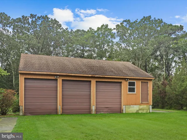 a view of a backyard with potted plants and large tree