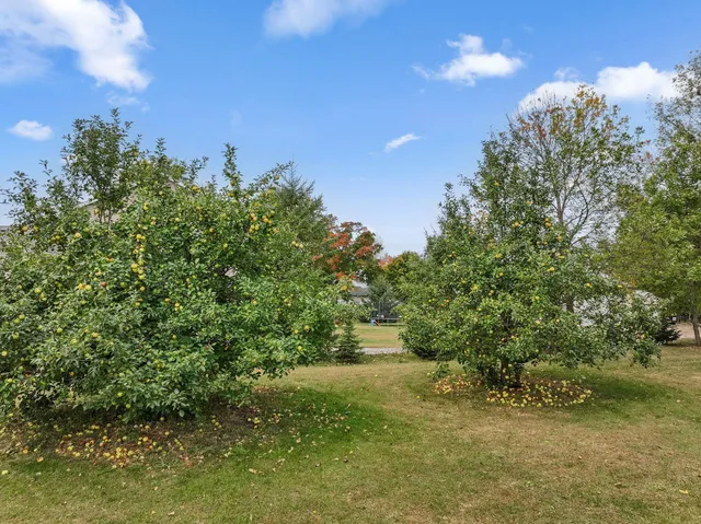 $999,995 | 12470 West 270th Street, Belle Plaine, MN 56011