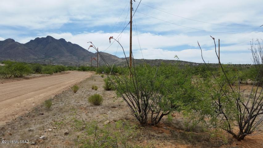 1673 Zulu Court, Unit 22 Rio Rico, AZ 85648 - Photo 3 of 3