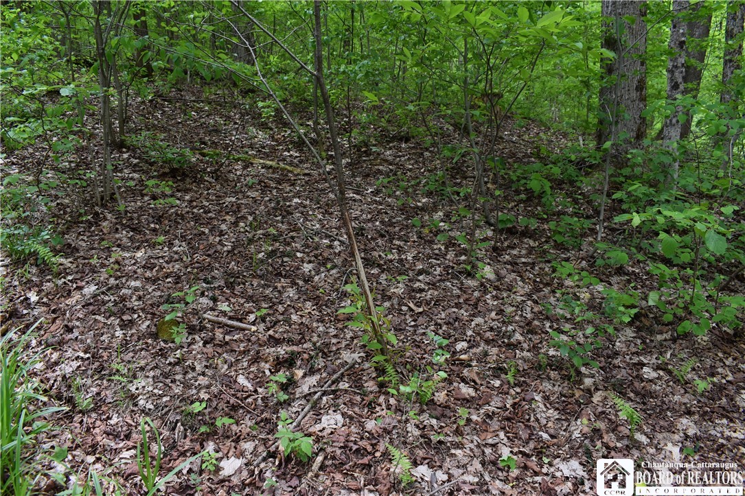 0 Harris Hollow Road Gerry, NY 14740 - Photo 7 of 23