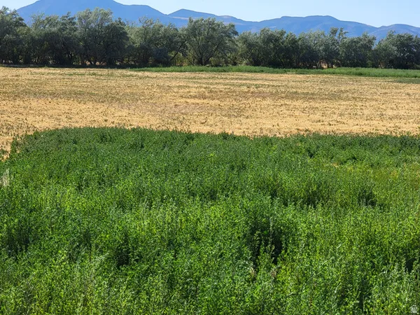 $500,000 | 14900 South 11130 W Street, Goshen, UT 84633