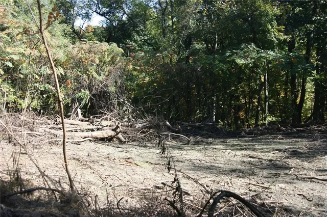 a view of snow on the side of a road
