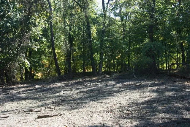 a view of outdoor space with trees
