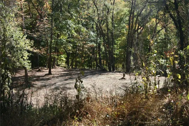 a view of a forest with trees