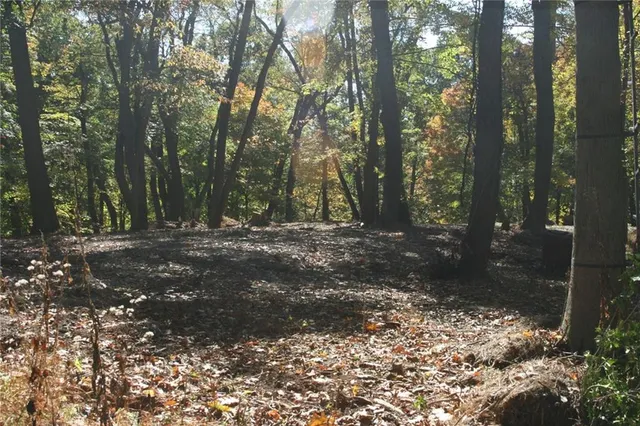 a view of outdoor space with trees