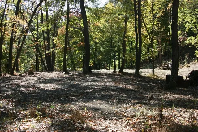 a view of outdoor space with trees