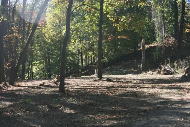 a view of a yard with a tree