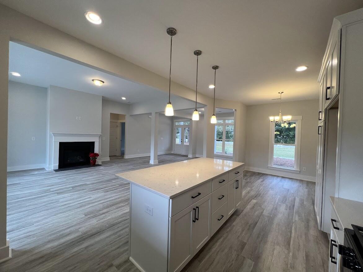 302 Mizell Road Dorchester, SC 29437 - Photo 4 of 16 302 Mizell Road Ful view III