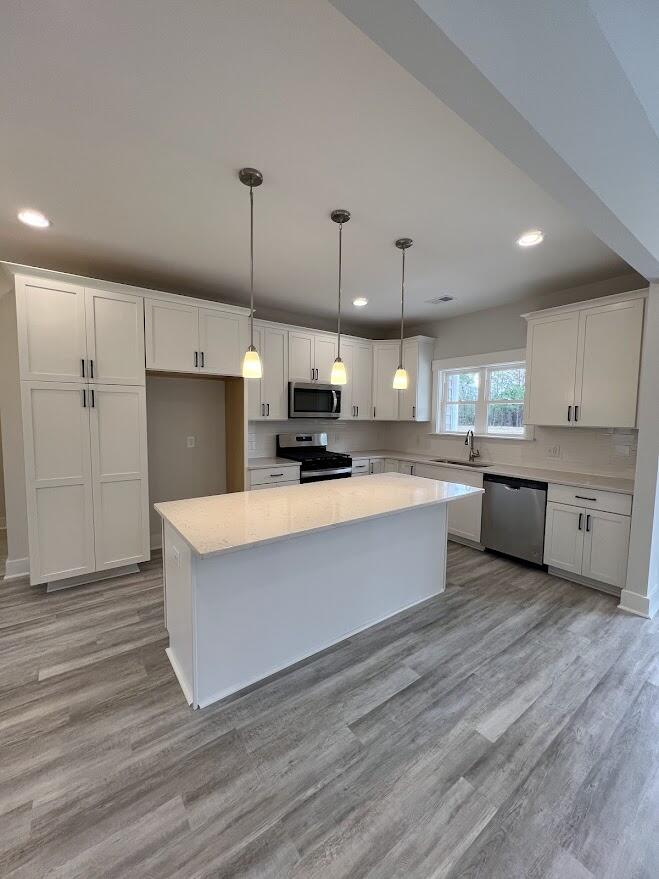 302 Mizell Road Dorchester, SC 29437 - Photo 8 of 16 302 Mizell Road Kitchen view III