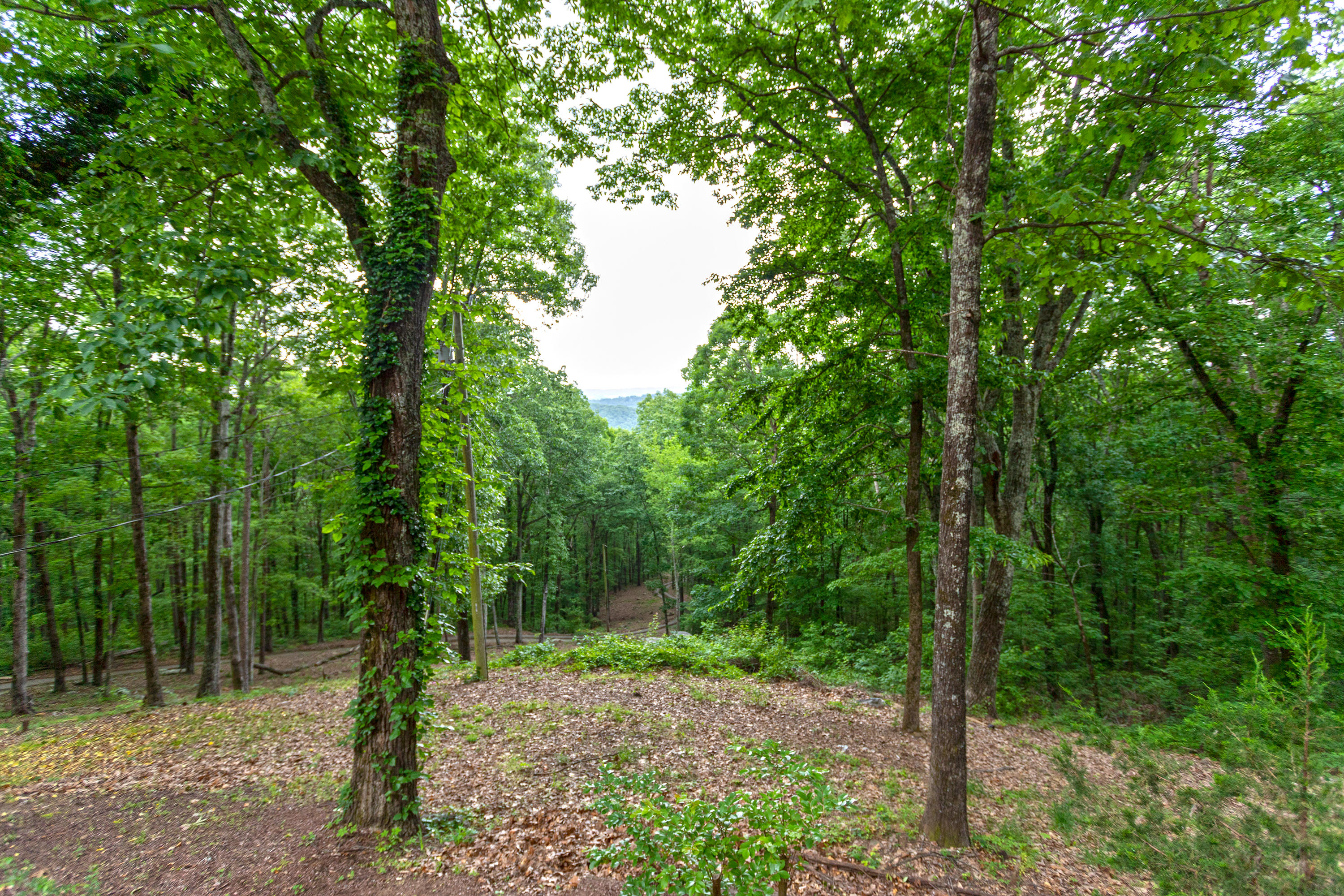 5903 Union Springs Road Chattanooga, TN 37415 - Photo 43 of 64 exterior 2