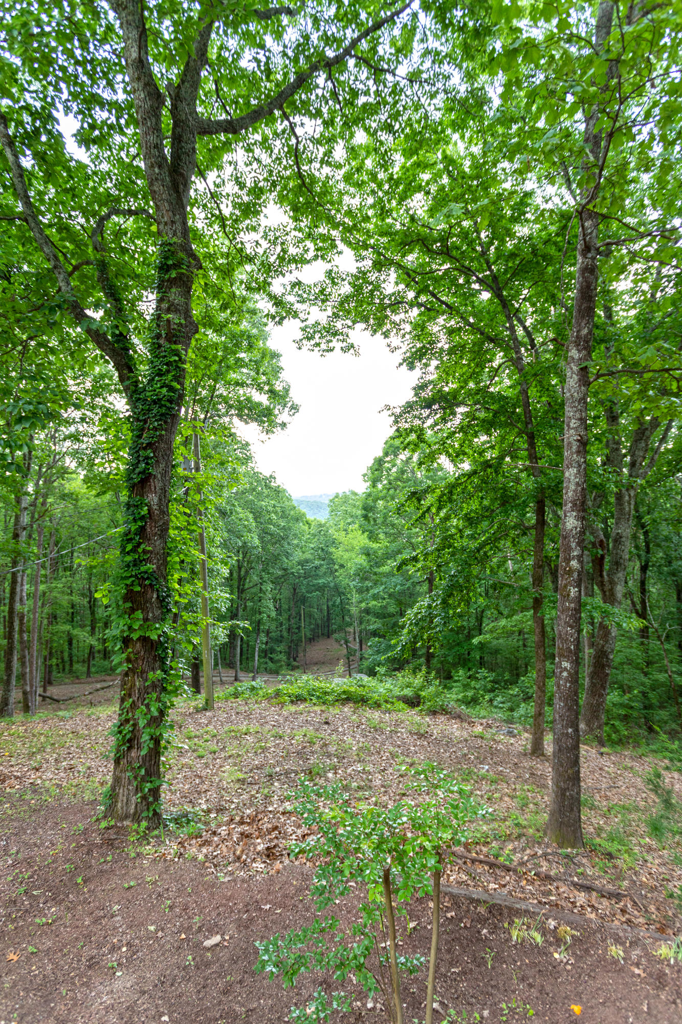 5903 Union Springs Road Chattanooga, TN 37415 - Photo 57 of 64 exterior