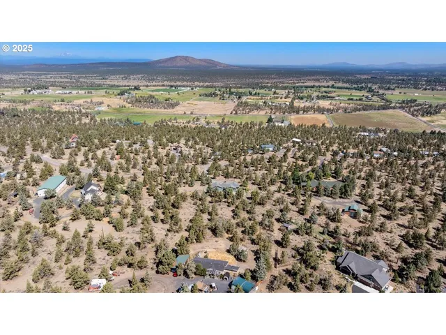 a view of city and green space