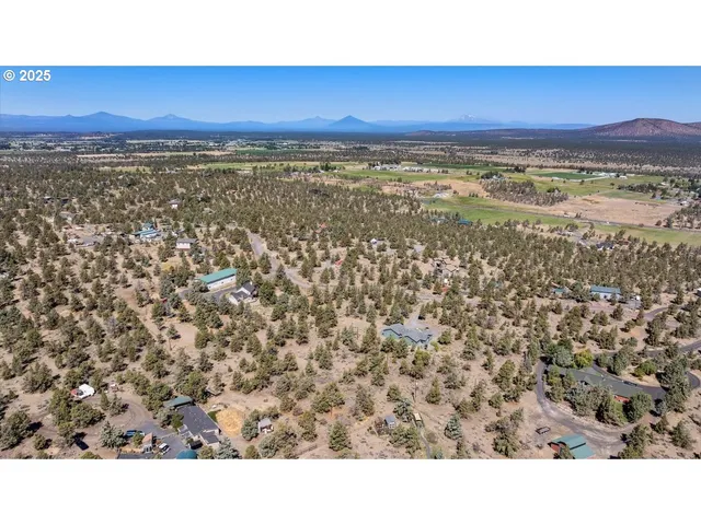 a black and white photo of a painting