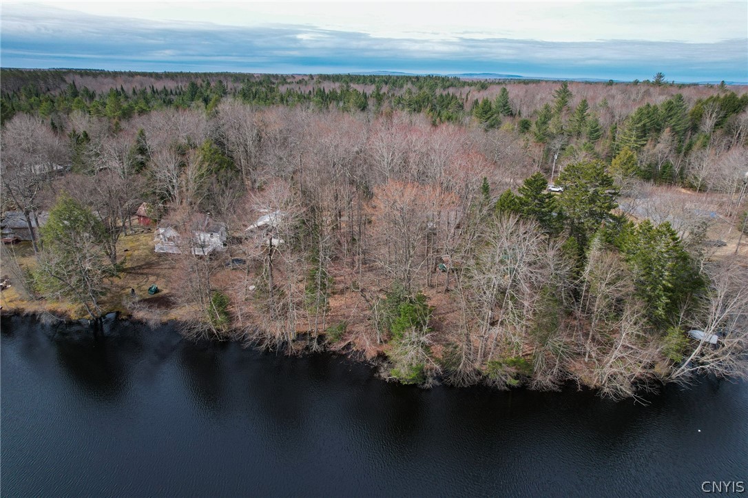 Lot 21 Deep Lake Road Forestport, NY 13338 - Photo 25 of 37