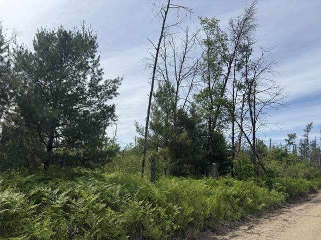 2 South Nelson Road Idlewild, MI 49642 - Photo 1 of 4 IMG_6955