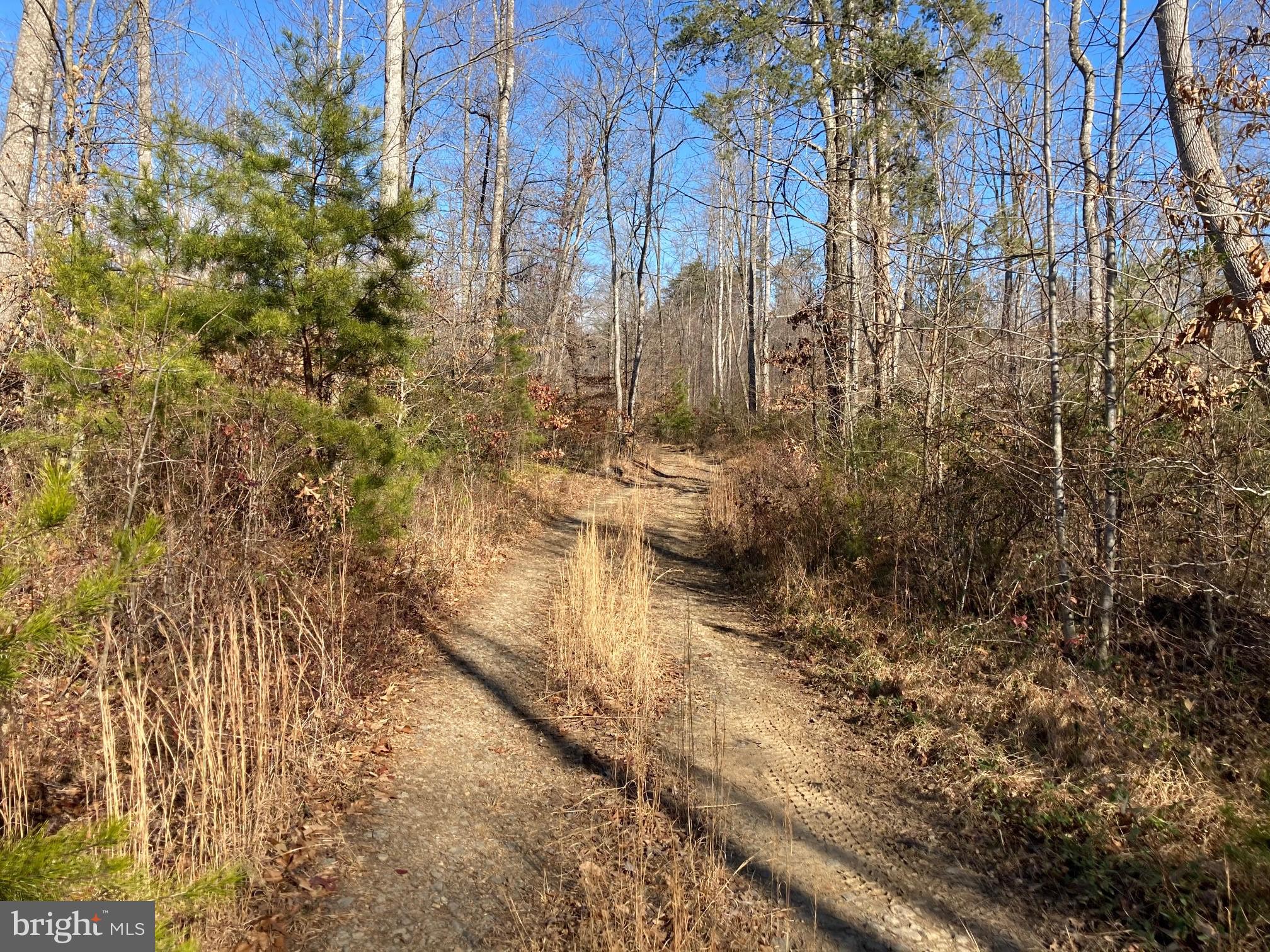 Watson Road Burr Hill, VA 22433 - Photo 1 of 6 Gallery Image 1