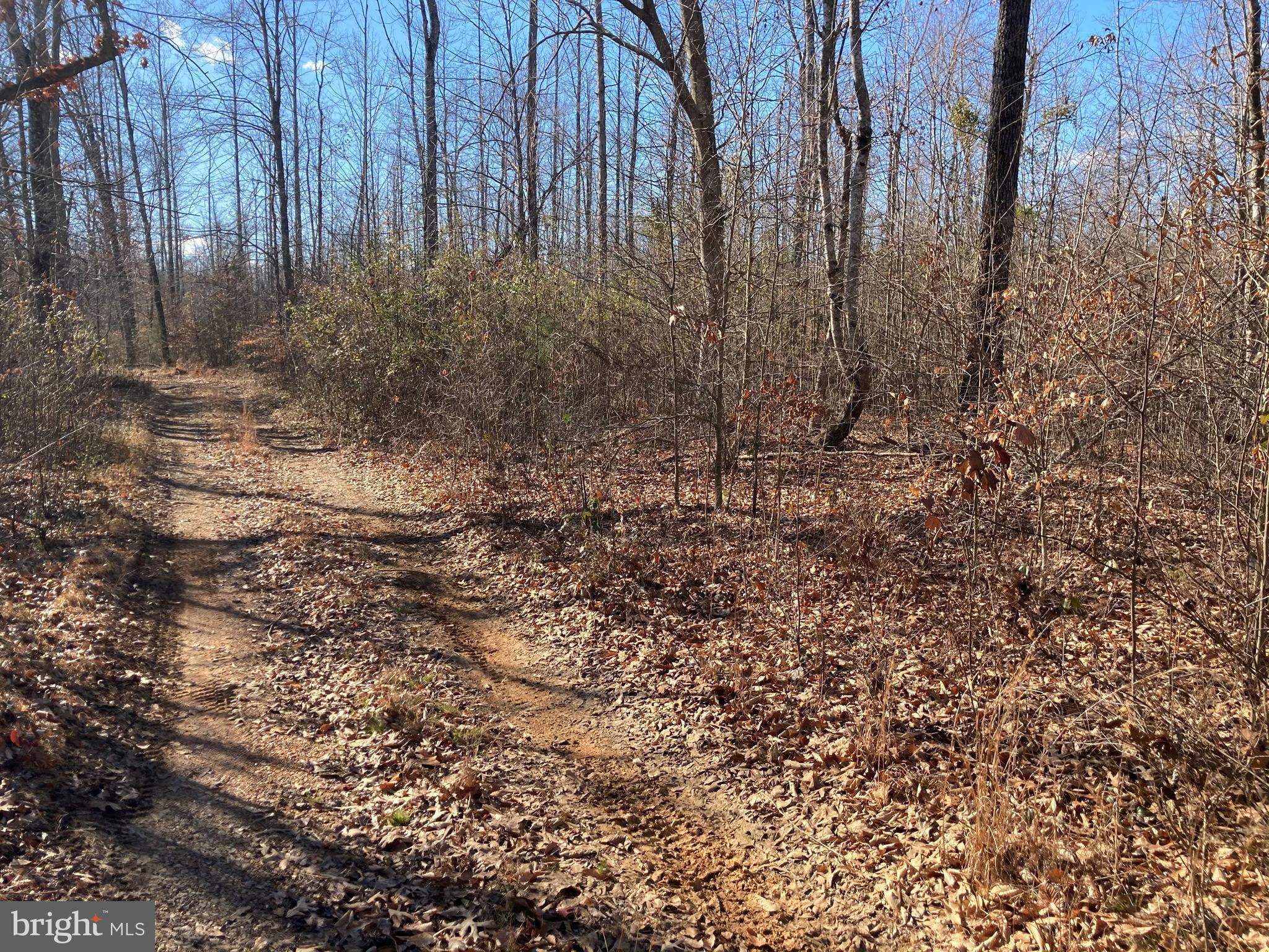 Watson Road Burr Hill, VA 22433 - Photo 4 of 6 Gallery Image 4