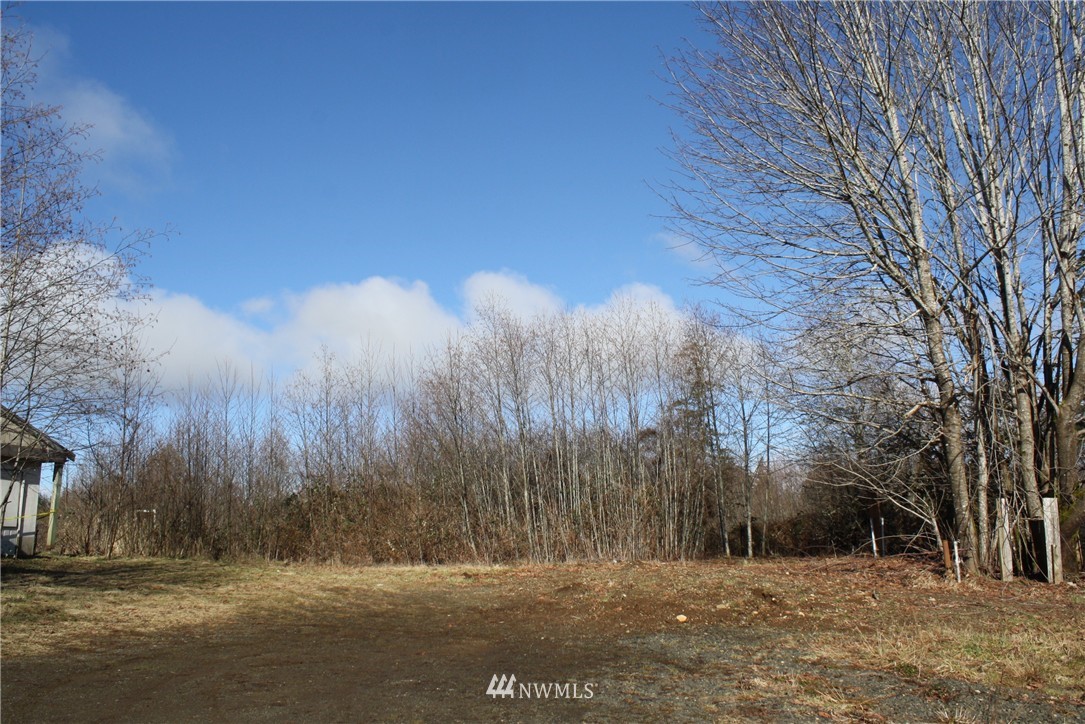 1393 Mox Chehalis Road McCleary, WA 98557 - Photo 1 of 18 Gallery Image 1