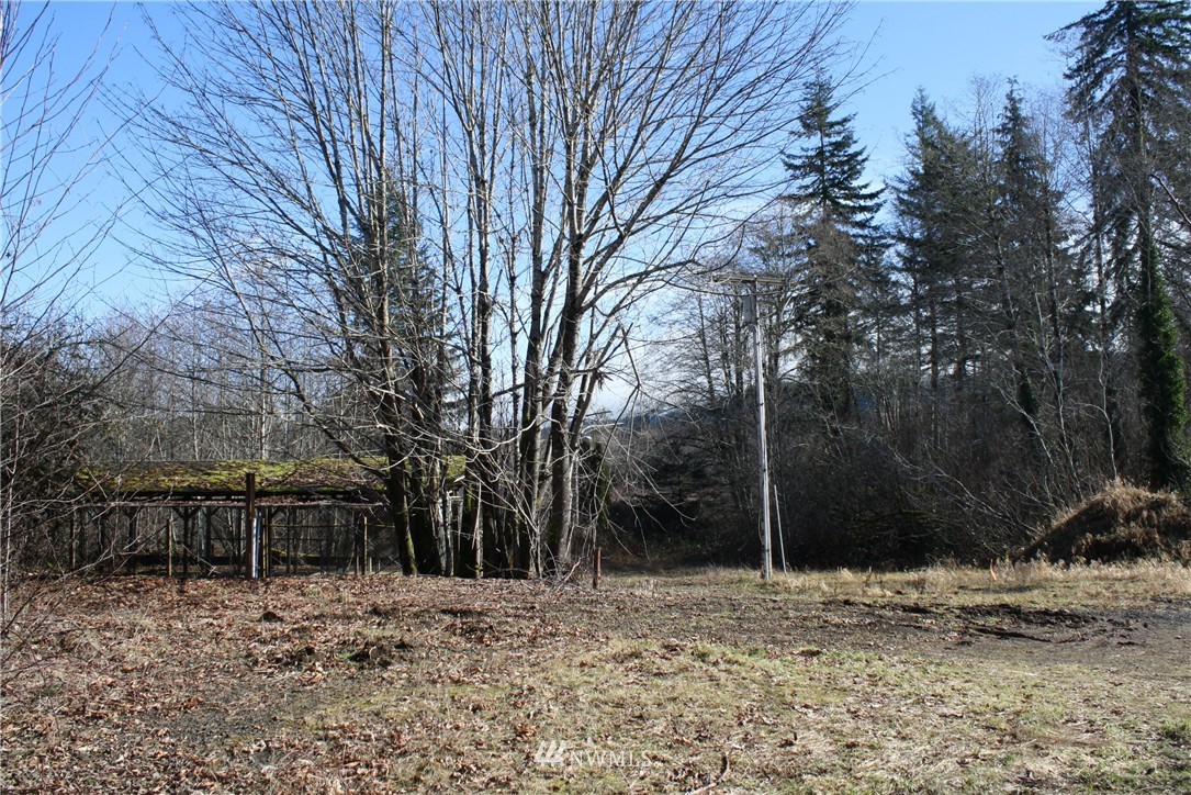 1393 Mox Chehalis Road McCleary, WA 98557 - Photo 11 of 18 Gallery Image 11