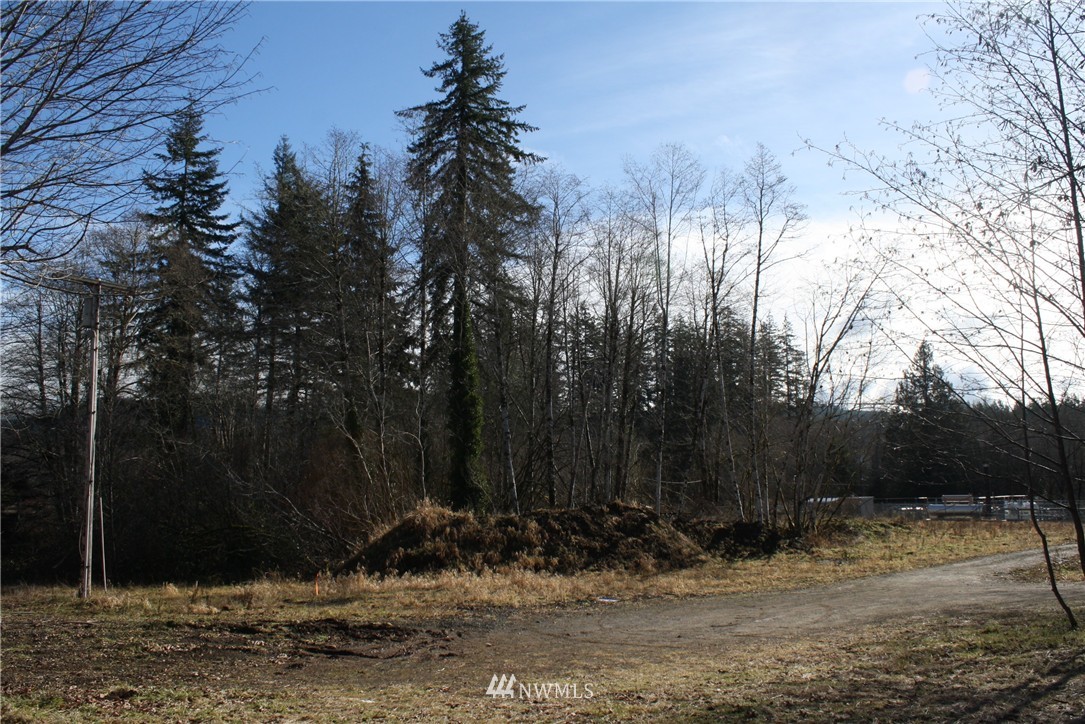 1393 Mox Chehalis Road McCleary, WA 98557 - Photo 12 of 18 Gallery Image 12