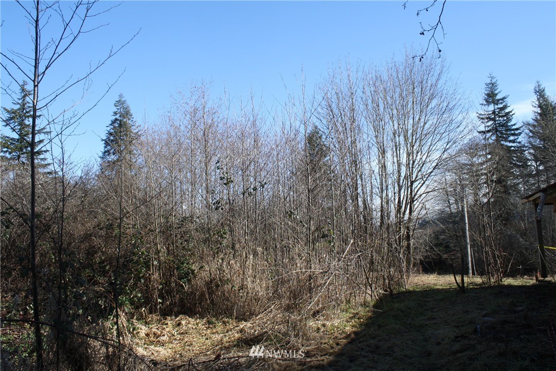 1393 Mox Chehalis Road McCleary, WA 98557 - Photo 10 of 18 Gallery Image 10