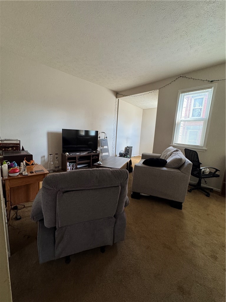 70 Alexander Street, Unit 3 Rochester, NY 14620 - Photo 6 of 11
