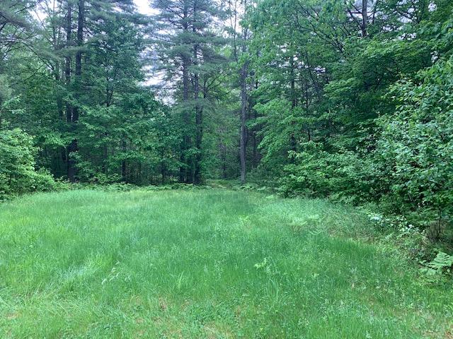 Lot 1 Hubbard Road Berwick, ME 03901 - Photo 2 of 4 IMG_0690