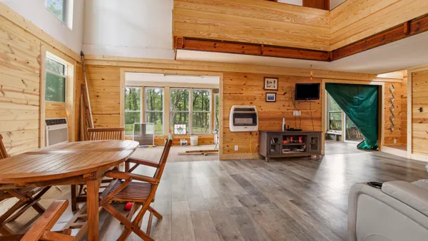 a view of a yard with plants and large trees