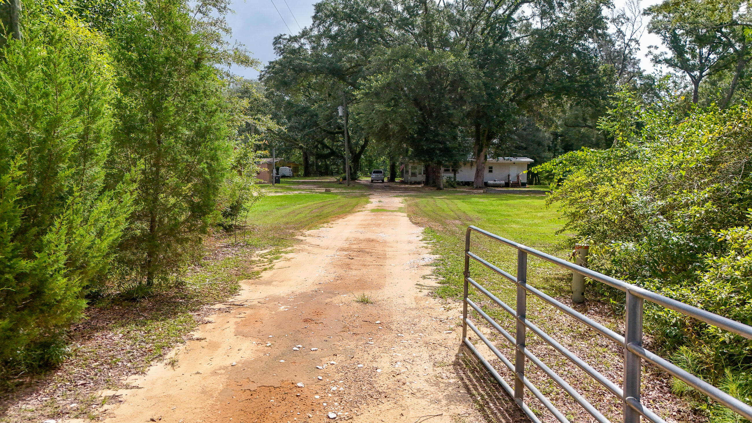 70 River Loop Road Ponce de Leon, FL 32455 - Photo 3 of 50 a view of a yard with plants and large trees