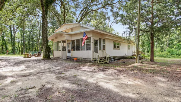 a close up of a plant