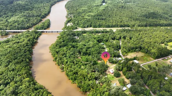 a view of a tree with a yard