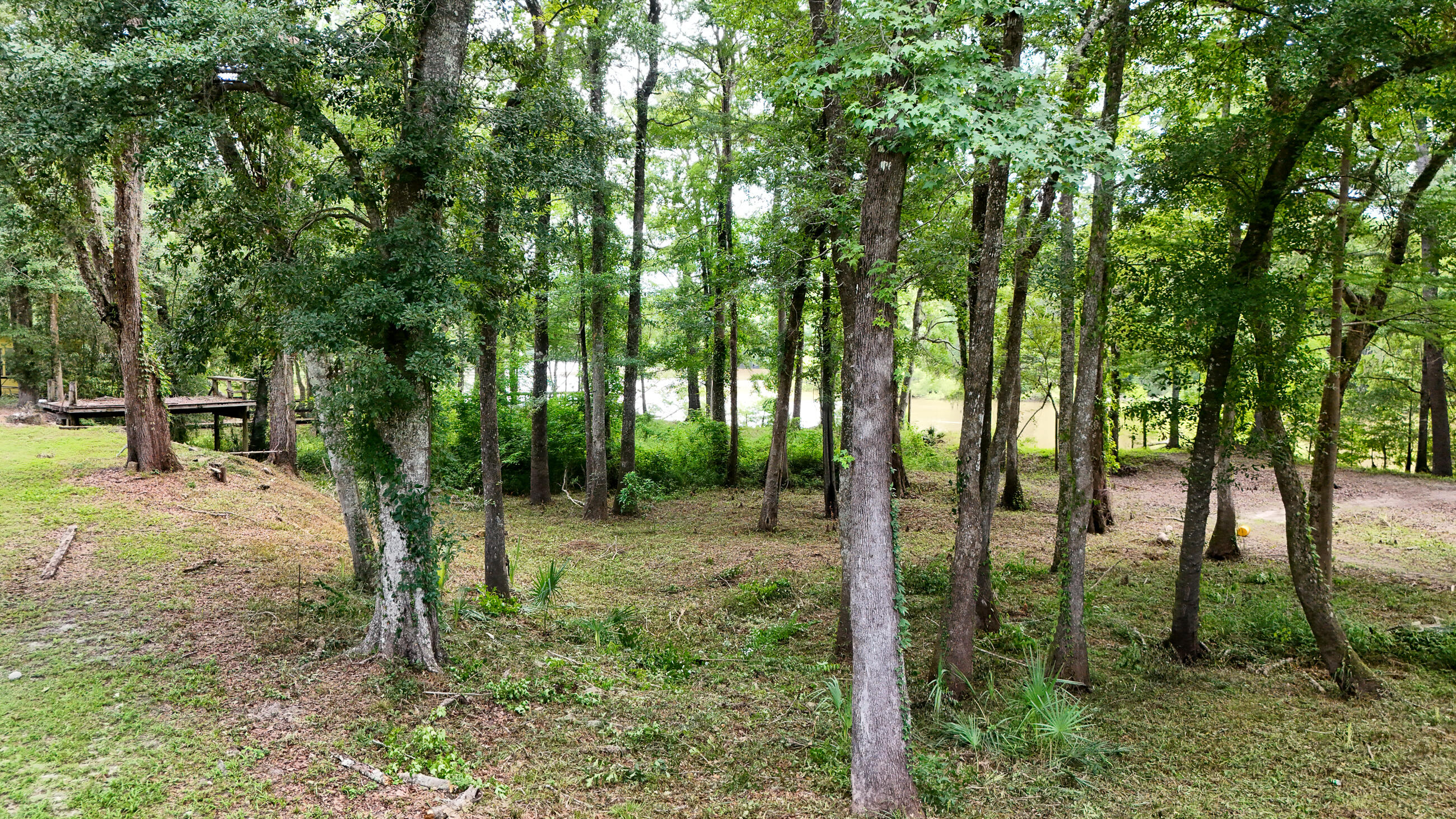 70 River Loop Road Ponce de Leon, FL 32455 - Photo 44 of 50 a view of outdoor space and trees
