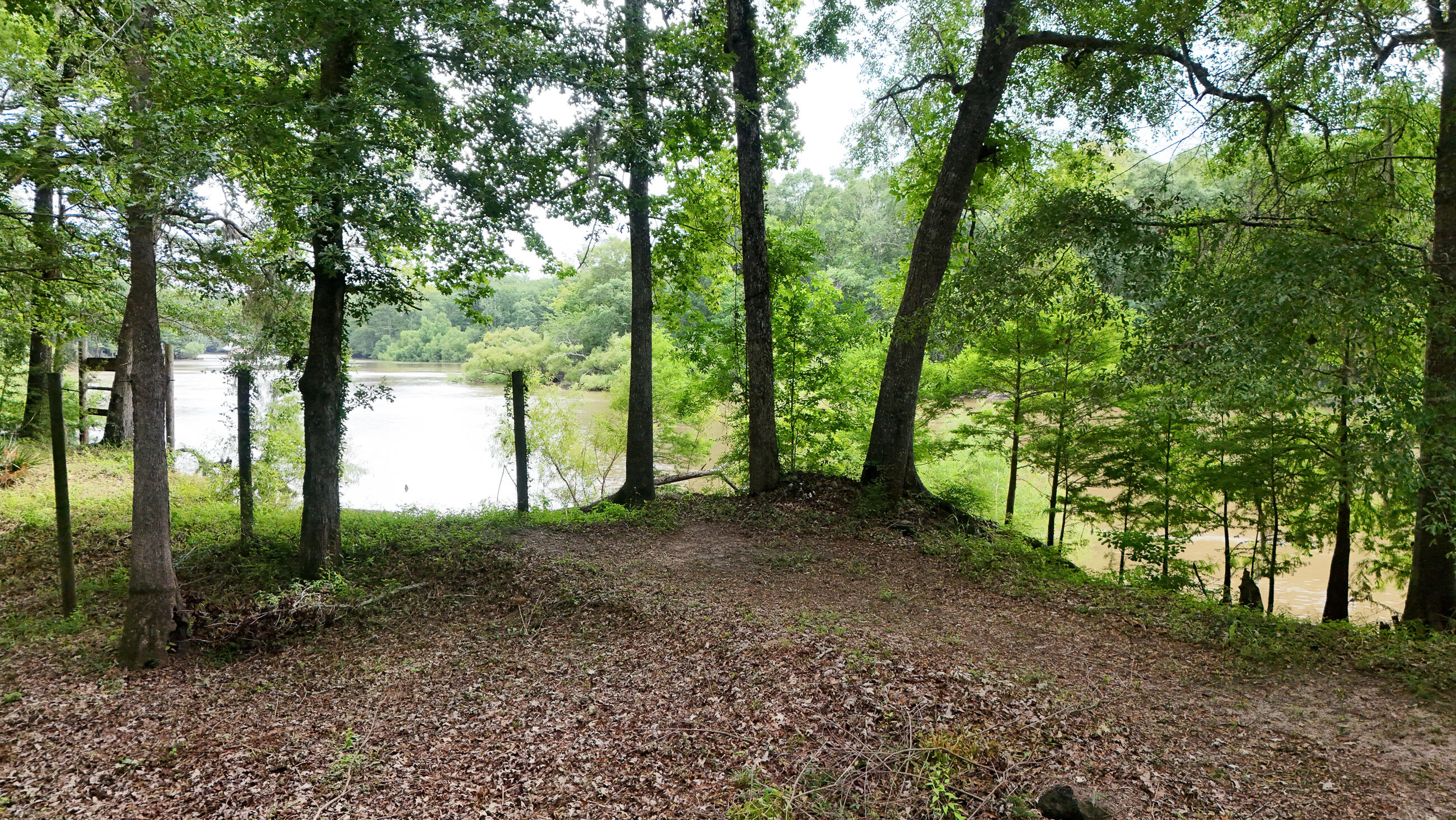 70 River Loop Road Ponce de Leon, FL 32455 - Photo 45 of 50 a view of a forest with trees