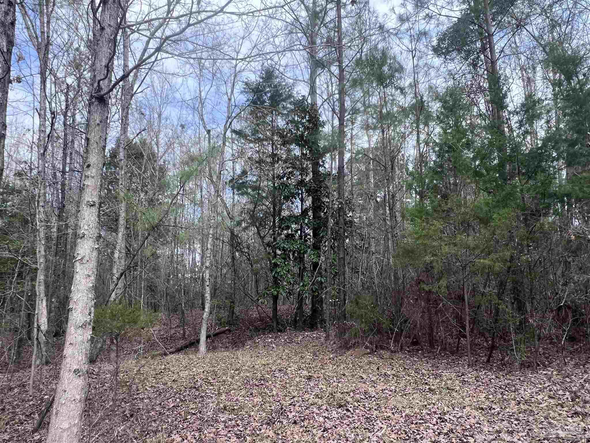 0 Mixonville Road McKenzie, AL 36456 - Photo 6 of 36 a big yard with lots of green space and trees