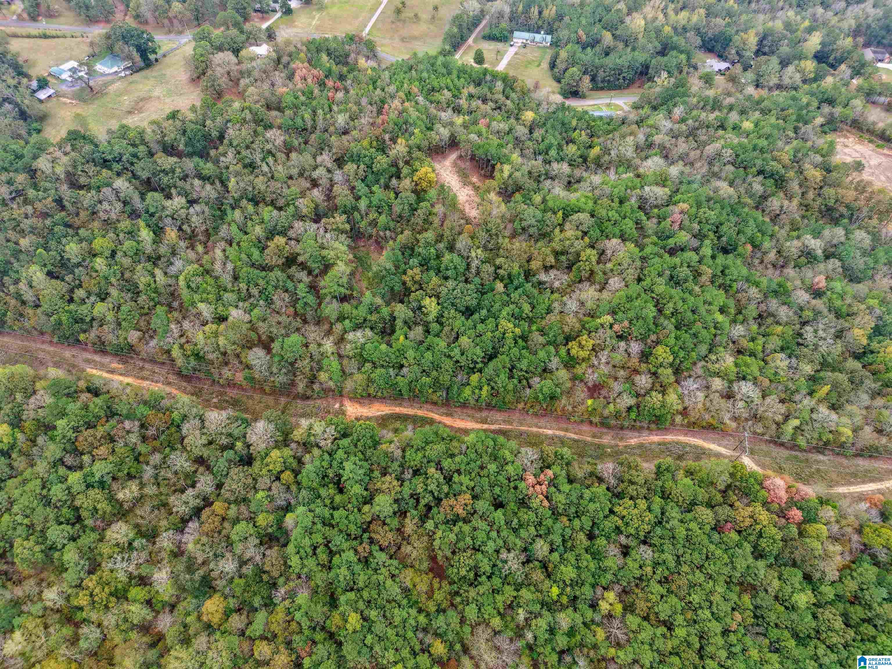 1215 Buddy Vines Camp Road Bessemer, AL 35023 - Photo 18 of 25