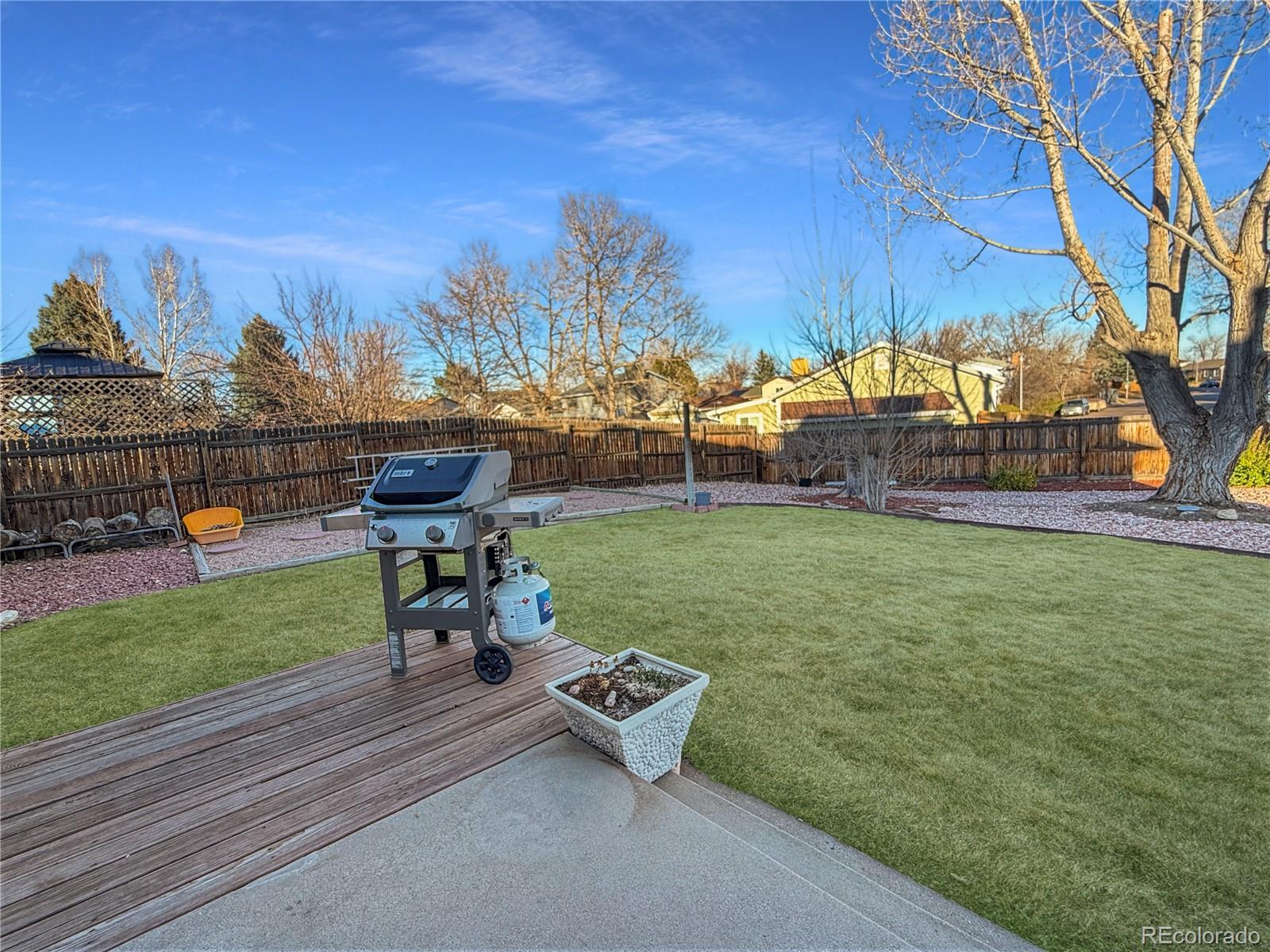 4386 South Xenophon Way Morrison, CO 80465 - Photo 34 of 38 a view of a park with large trees